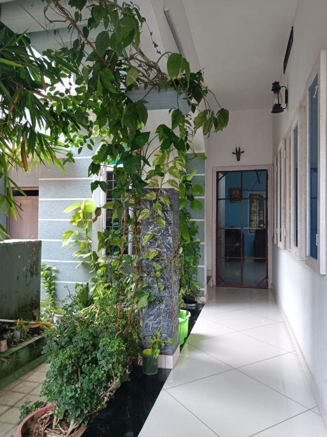Nest Apartment Kochi ภายนอก รูปภาพ